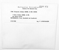 Image of Ceriporia viridans